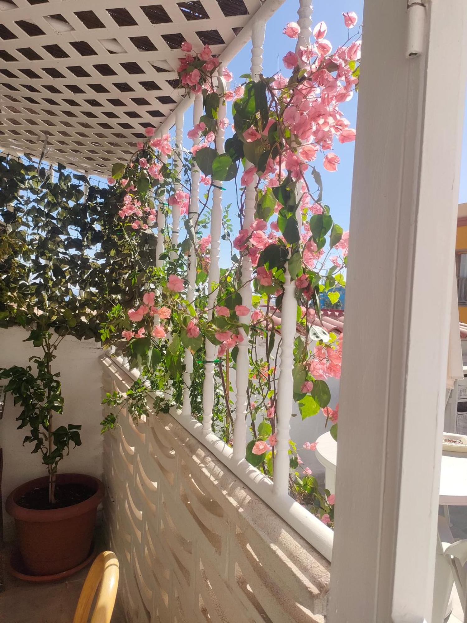 Casa Alba 2 Aparthotel ปูแอร์โต เดล โรซาริโอ ภายนอก รูปภาพ
